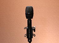 mic12